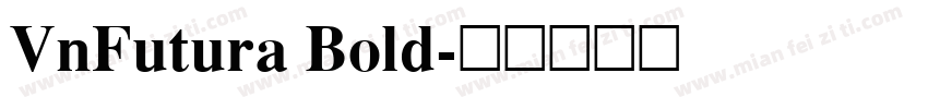VnFutura Bold字体转换